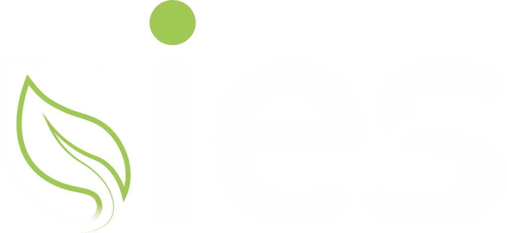 logo ies 2025 final blanc